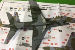 Airfix 1:72 BAe Hawk  T.Mk.1A painted (2)  (Jets of the Cold  War)