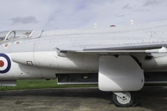 IMGP2906